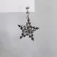 Star - Earrings Pavo - 3